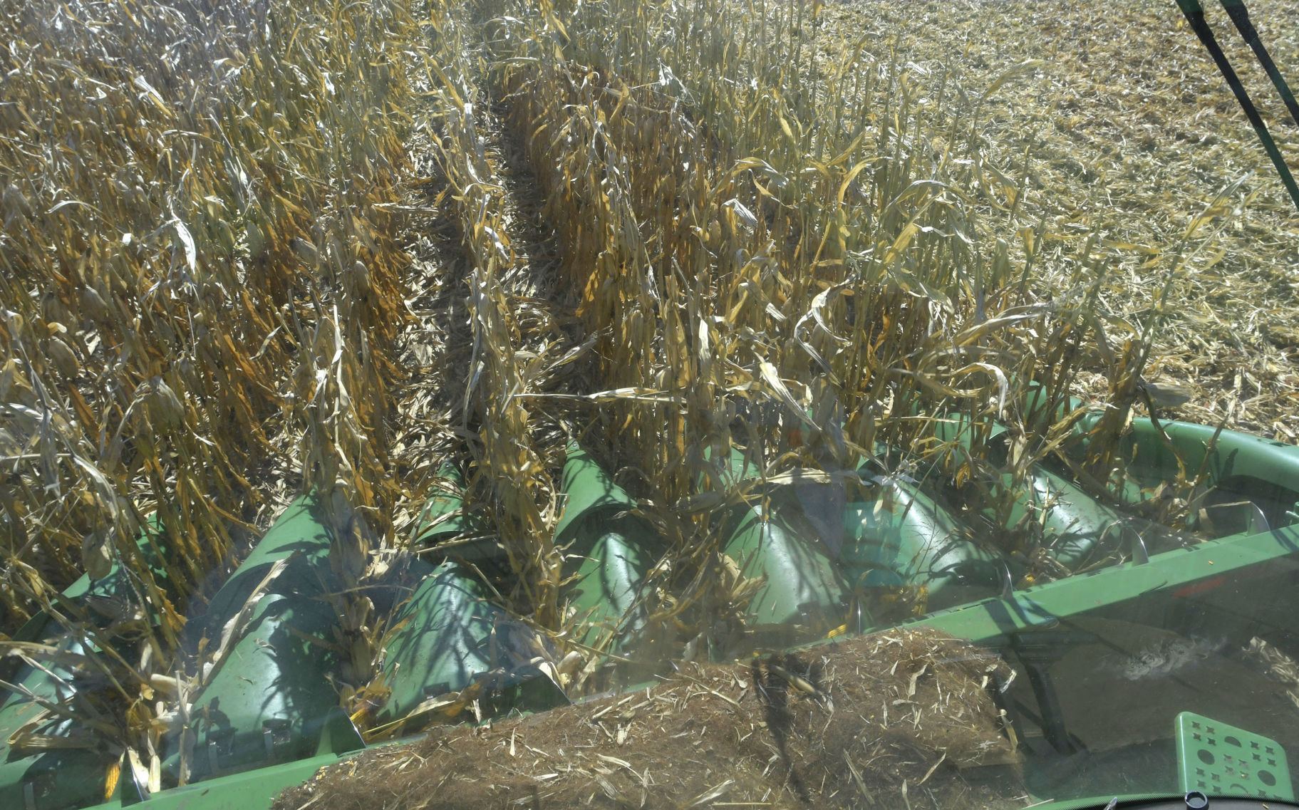 102520-blm-loc-7harvest